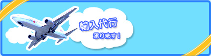 輸入代行承ります